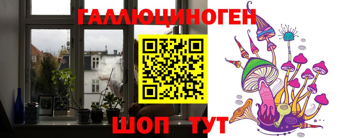 Псилоцибиновые грибы GOLDEN TEACHER Богородицк