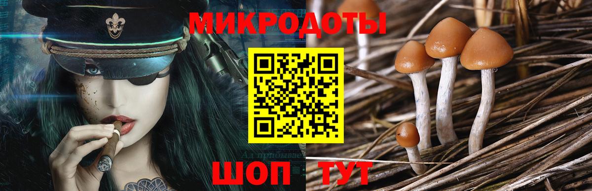 Богородицк  Галлюциногенные грибы GOLDEN TEACHER  Вход с VPN 